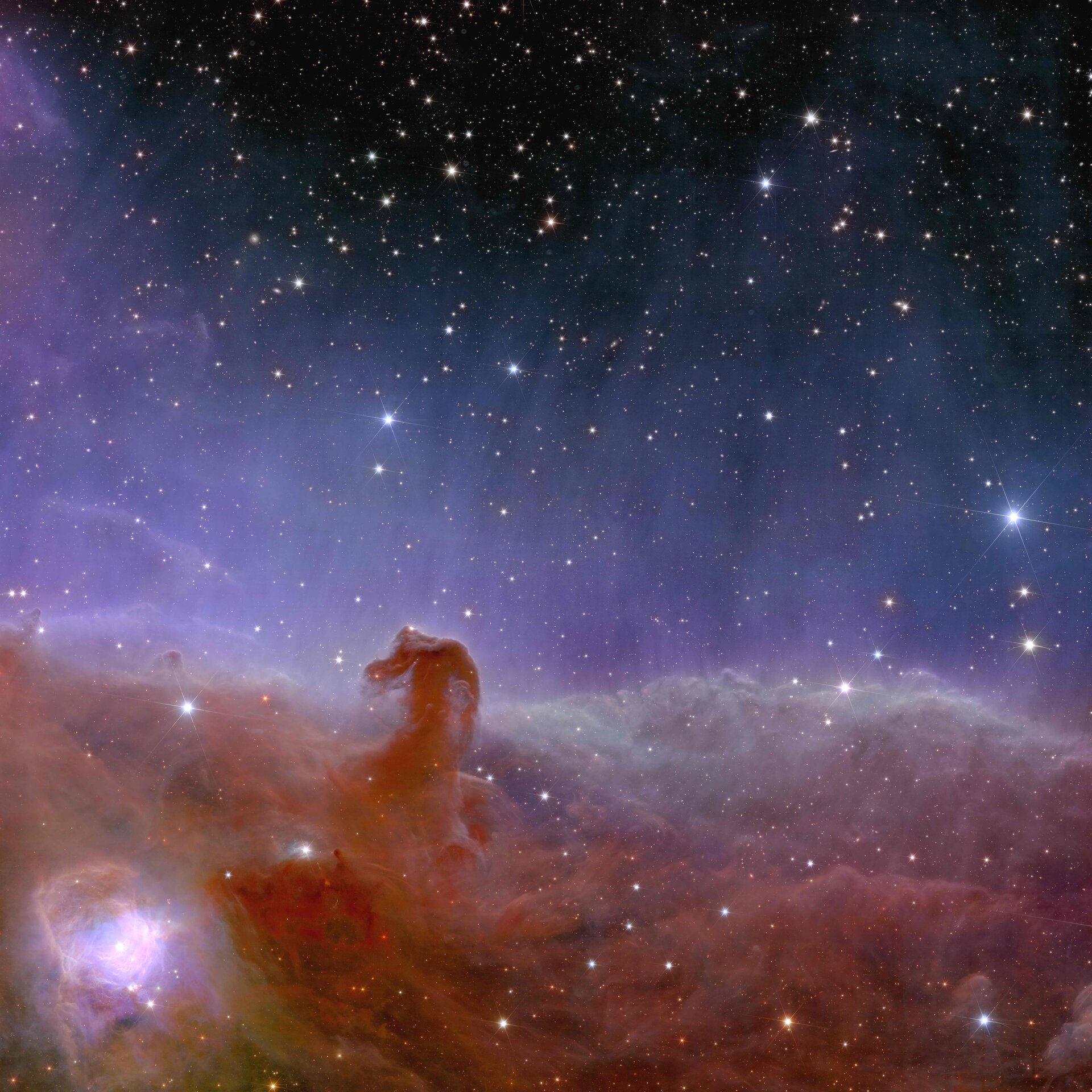 168澳洲幸运十正规官网-官方开奖结果-开奖直播视频-开奖结果历史记录查询官网 Euclid’s view of the Horsehead Nebula