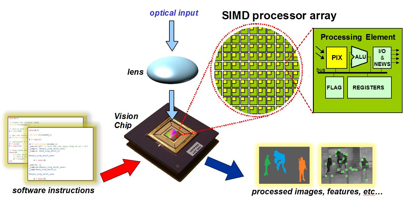 Retinomorphic Vision Model for On-chip Feature Extraction